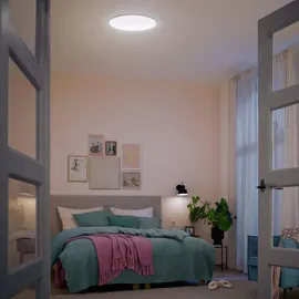 Philips CL550 1x36W rund weiß