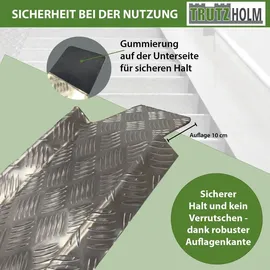 Trutzholm Auffahrschiene 50 kg