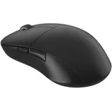 Endgame Gear XM2we schwarz