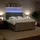 vidaXL Boxspringbett 180 x 200 cm Hellgrau
