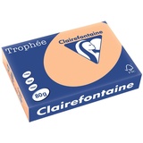 Clairefontaine Trophée A4 120 g/m2 500 Blatt aprikose