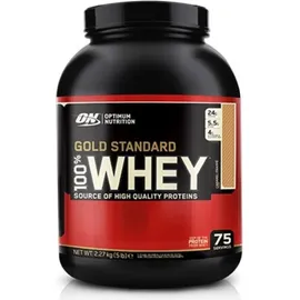 Optimum Nutrition Gold Standard 100% Whey Double Rich Chocolate Pulver 2270 g