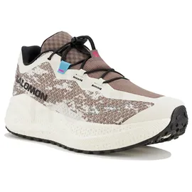 Salomon Aero Glide 4 GRVL Herren Vanilla Ice/Black 44