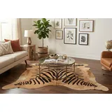 Kuhfelle Online & Nomad Kuhfell Stierfell Teppich Hellbraun mit Zebra Print ca.180 x 200 cm aus Brasilien Kuhfell Rinderfell Zebra