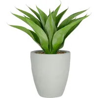 Creativ green »Agave«, mit 17 Agavenblättern