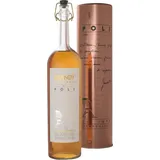 Jacopo Poli Brandy Italiano