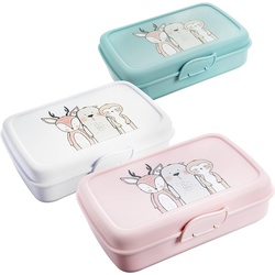 2friends Lunchbox 3er Set Brotdosen Lunchbox Kinder mit Trennfächern, Kunststoff, (21 cm x 13 cm x7 cm), Brotdose Kinder mit Fächern 3 Farben mint/weiß/rosa rosa|weiß