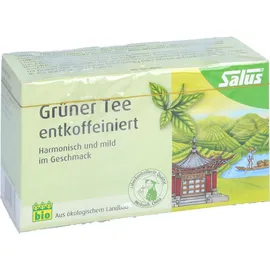 SALUS Grüner Tee Teebeutel 15 St.