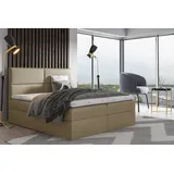 99rooms Merino Boxspringbett Velours JASMINE 200x200 cm Creme