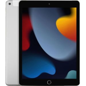 Apple Tablet-PC iPad 9.Gen 2021 MK4H3FD/A, LTE Cellular, 10,2 Zoll, iPadOS, 256GB, silber