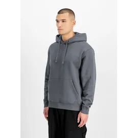 Alpha Industries DTM Alpha Hoodie grau 2
