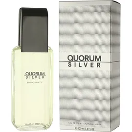 PUIG Quorum Silver Eau de Toilette 100 ml