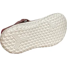Pepino Jerry Rosa 20