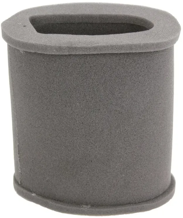 Filtro aria HIFLO HFA2202