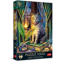 Trefl Premium Plus Quality - Puzzle Magic Collection: Schattenbuch