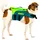 Jobe Hunde-Schwimmweste Petrol M