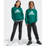 Adidas Kinder Sportanzug Essentials Big Logo KIDS CGREEN, 128