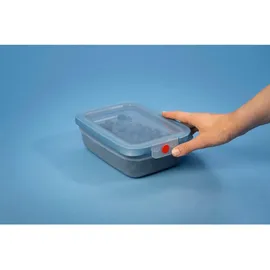 Emsa Frischhaltedose rechteckig blau 20,19 cm x 25,97 cm x 8,5 cm 2,3 l