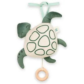 hauck Spieluhr Cuddle N Sleep, Turtle