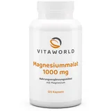 Vita World Magnesiummalat 1000 mg Kapseln 120 St.