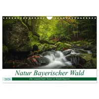Calvendo Natur Bayerischer Wald (Wandkalender 2026 DIN A4 quer),