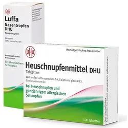 Heuschnupfenmittel DHU + Luffa Nasenspray DHU SET St