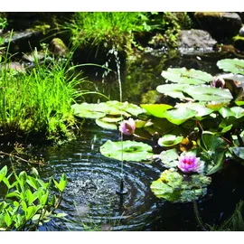 esotec Solarpumpensystem Palermo LED