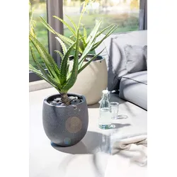 Blühende Aloe Kunstpflanze