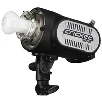 Fomex Cricket Kompaktes Monoblock, 300 W