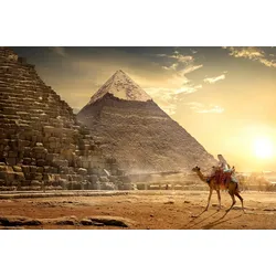 Fototapete PAPERMOON "Kamel vor Pyramiden", bunt, B:4,50m L:2,80m, Vlies, Tapeten