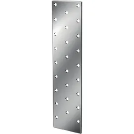 Vormann Lochblech 240 mm x 80 mm x 2 mm mit CE? Ja Stahl sendverz.