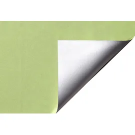 LIEDECO Seitenzugrollo 45 x 150 cm grün