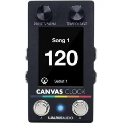 Walrus Audio Canvas Clock