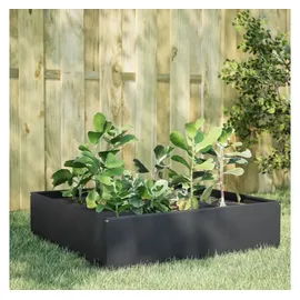 vidaXL Hochbeet 100 x 100 x 25 cm Anthrazit