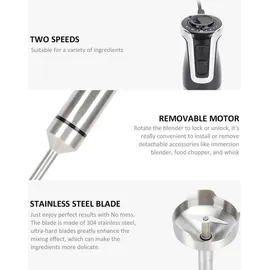 Royalty Line RL-ESTM800 Stabmixer