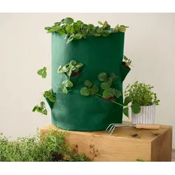 Tchibo - Erdbeeren-Pflanztasche - grün