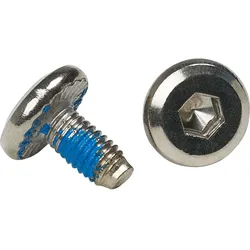 Swix Screws for Classic RCT Wheels, 4pk neutral