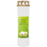 HS Candle 4er Pack Grabkerzen mit Motiv, Grablicht mit Brenndauer von ca. 7 Tage, Motiv: Gänseblümchen, in vielen weiteren Varianten