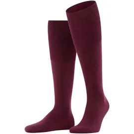 Falke Airport Kniestrümpfe barolo 41-42