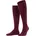 barolo 41-42