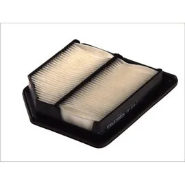Filtron Luftfilter