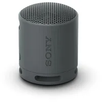 Sony SRS-XB100 schwarz
