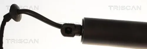 TRISCAN 871014304 für NISSAN