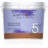 Dr Weyrauch Nr. 5 Frühlingserwachen 1,2 kg