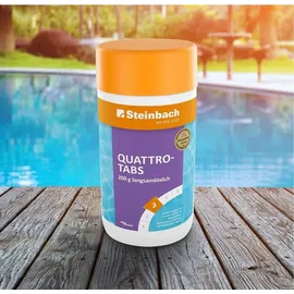 Steinbach Quattrotabs 200g langsamlöslich, 1.00kg (0752601TD08)