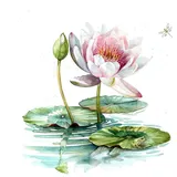 Ti-Flair Servietten Papier 33x33cm 3-lagig 20 Stück - hochwertig & nachhaltig - Einweg Motivservietten Geburtstagservietten - Seerose im Teich Motiv Papierservietten für Party Alltag - Weiß Rosa Grün