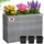 DEUBA Blumenkasten 3 Innentöpfe 60 x 20 x 20 cm Grau