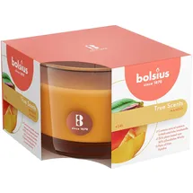 Bolsius True Scents Duftglas 6,3 cm mango