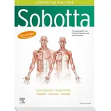 Urban & Fischer in Elsevier Sobotta Lernposter Anatomie