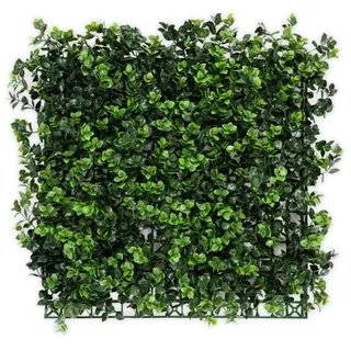 Karat Pflanzenwand Pachysandra Kunstpflanzen zur Wandmontage 50 x 50 cm